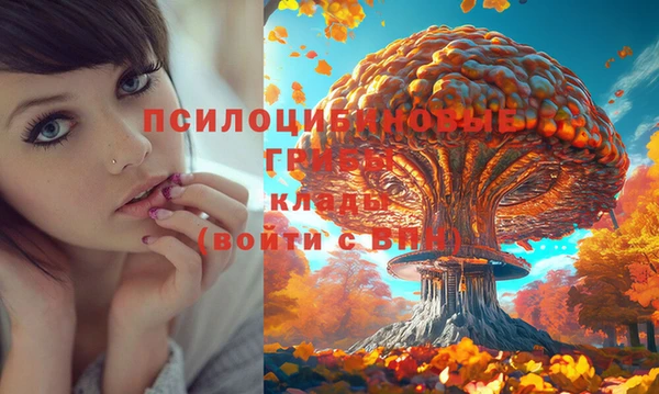 таблы Алзамай