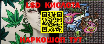 a pvp Бийск