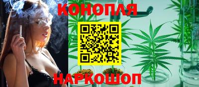 a pvp Бийск