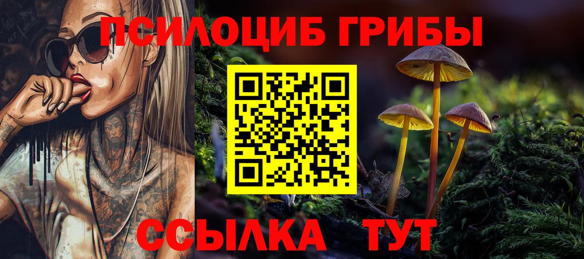 Ивантеевка  Галлюциногенные грибы MAGIC MUSHROOMS  Вход с VPN 